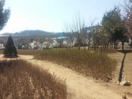 의정부시 송산1호 수변공원 사진입니다.