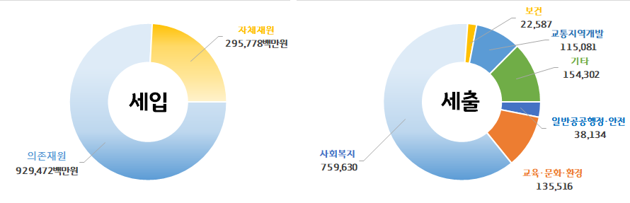 세입
		의존재원 : 750,542백만원 
		자체재원 : 318,686백만원 
		세출 
		일반공공행정 : 45,286백만원 
		교육.문화.환경 : 180,816백만원 
		사회복지 : 567,103백만원  
		보건 : 23,296백만원 
		교통.지역개발 : 119,322백만원
		기타 : 133,405백만원