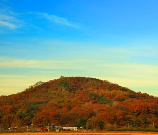 부용산