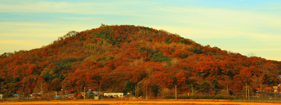 부용산